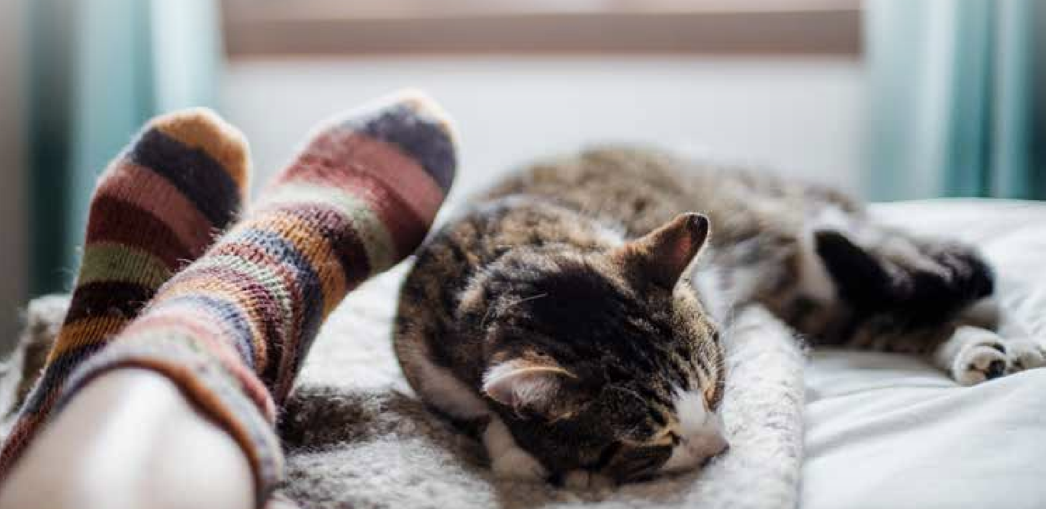 Pekatherm fabrica materials tèrmics. FOTO: Perkatherm