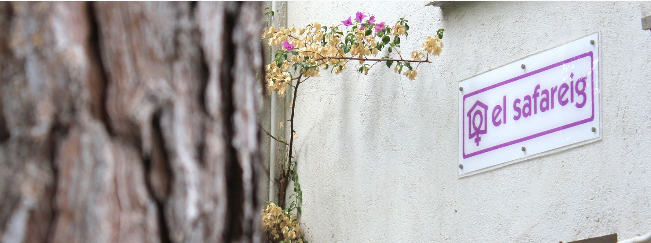 El Safareig