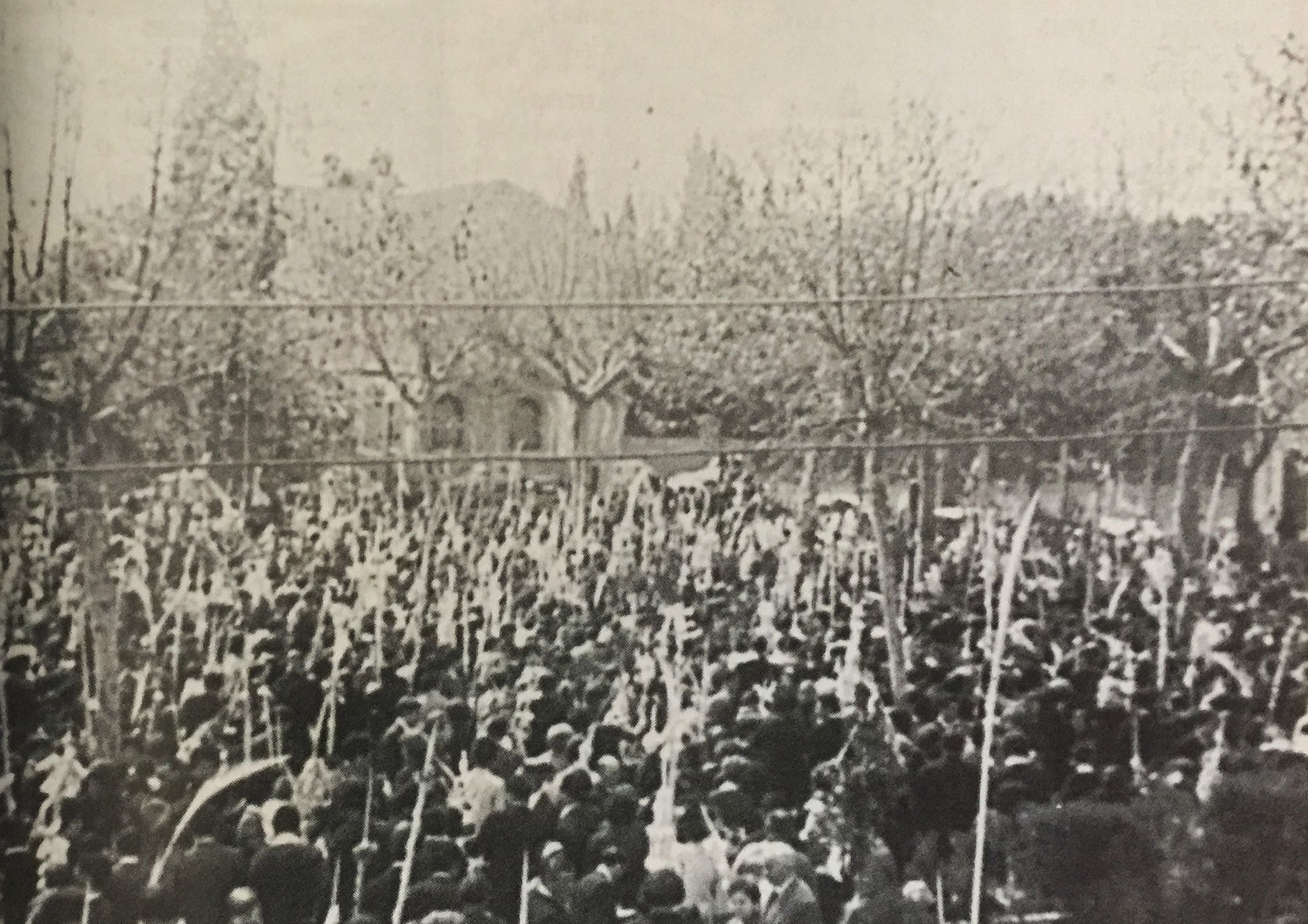 Diumenge de Rams a la Plaça Sant Ramon durant els anys 70. FOTO: Arxiu del TOT, cedida per Can Serra