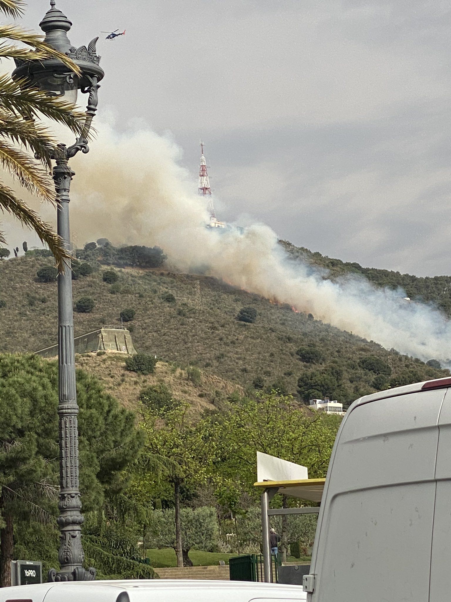 incendis collserola