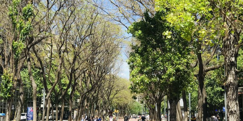S’estima que al 2050 el 80% de la població viurà a les ciutats. FOTO: Diputació de Barcelona S’estima que al 2050 el 80% de la població viurà a les ciutats. FOTO: Diputació de Barcelona