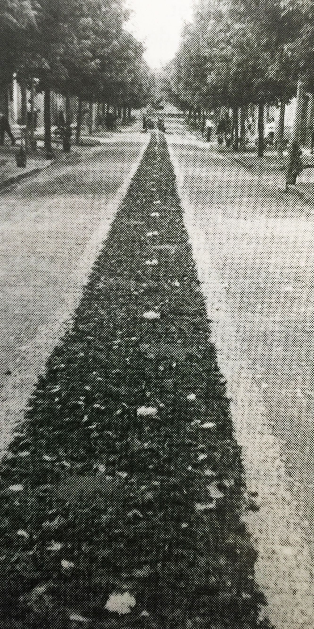 Corpus Christi a Cerdanyola