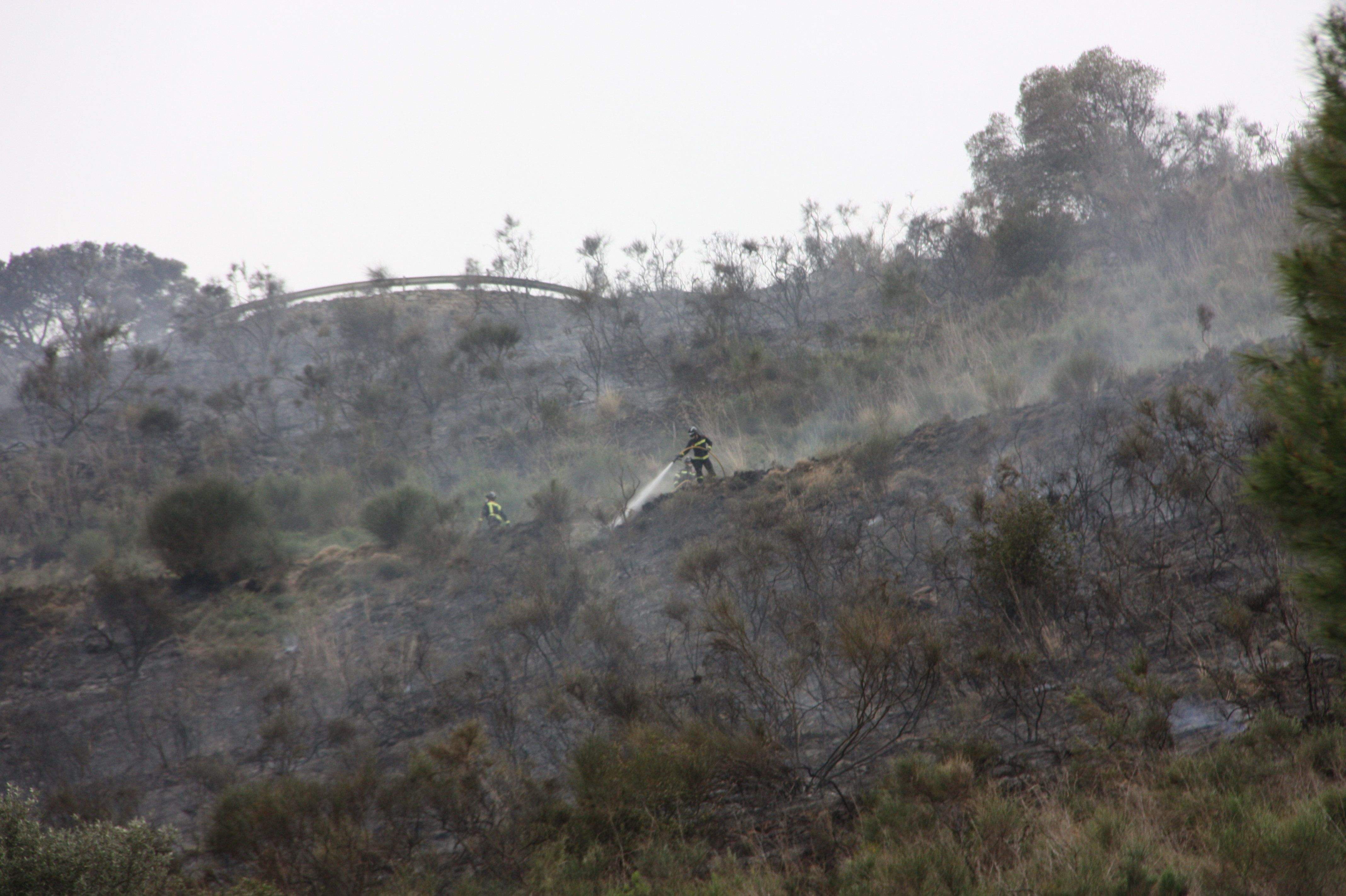 Un bomber apagant un incendi a la serra de Collserola en una imatge d'arxiu. FOTO: Cedida Un bomber apagant un incendi a la serra de Collserola en una imatge d'arxiu. FOTO: Cedida