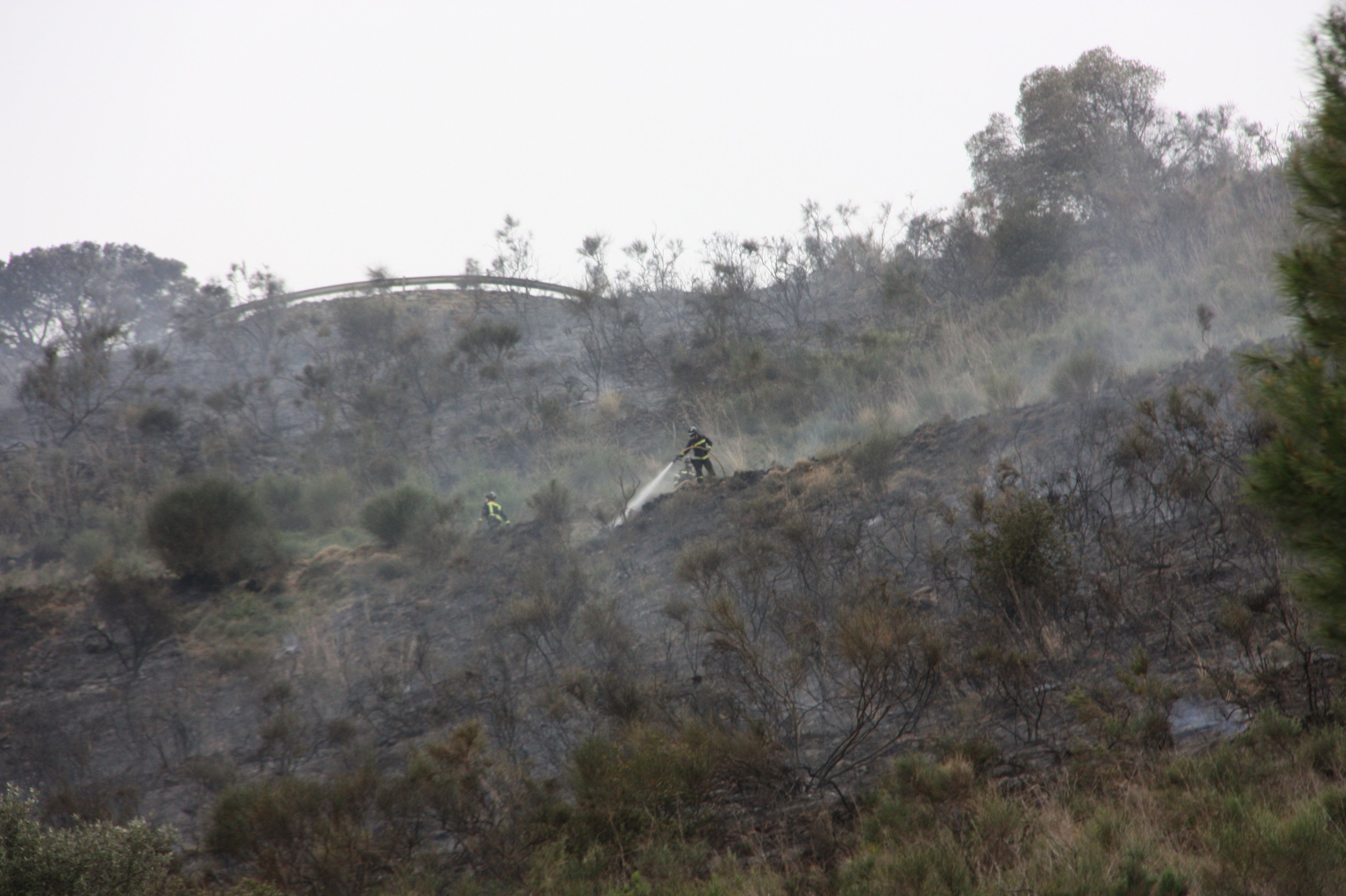 Un bomber apagant l'incendi controlat de la serra de Collserola. FOTO: Raquel Navarro/Nerea Colomé (ACN)