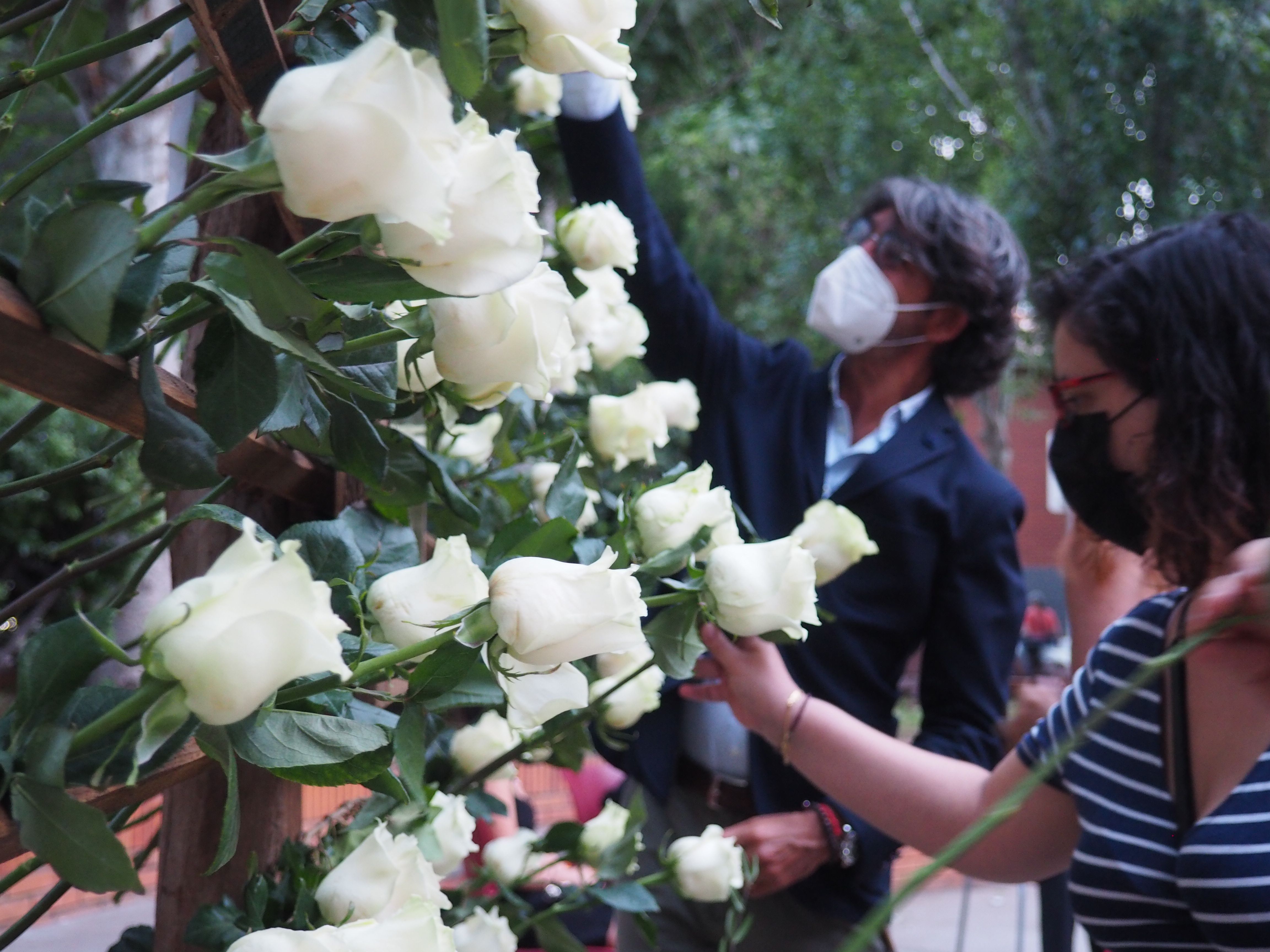 Ofrena floral a la placa en record de les víctimes de la COVID-19. FOTO: Mónica GM