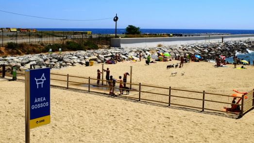 Platja per a gossos a Barcelona. FOTO: Ajuntament de Barcelona Platja per a gossos a Barcelona. FOTO: Ajuntament de Barcelona