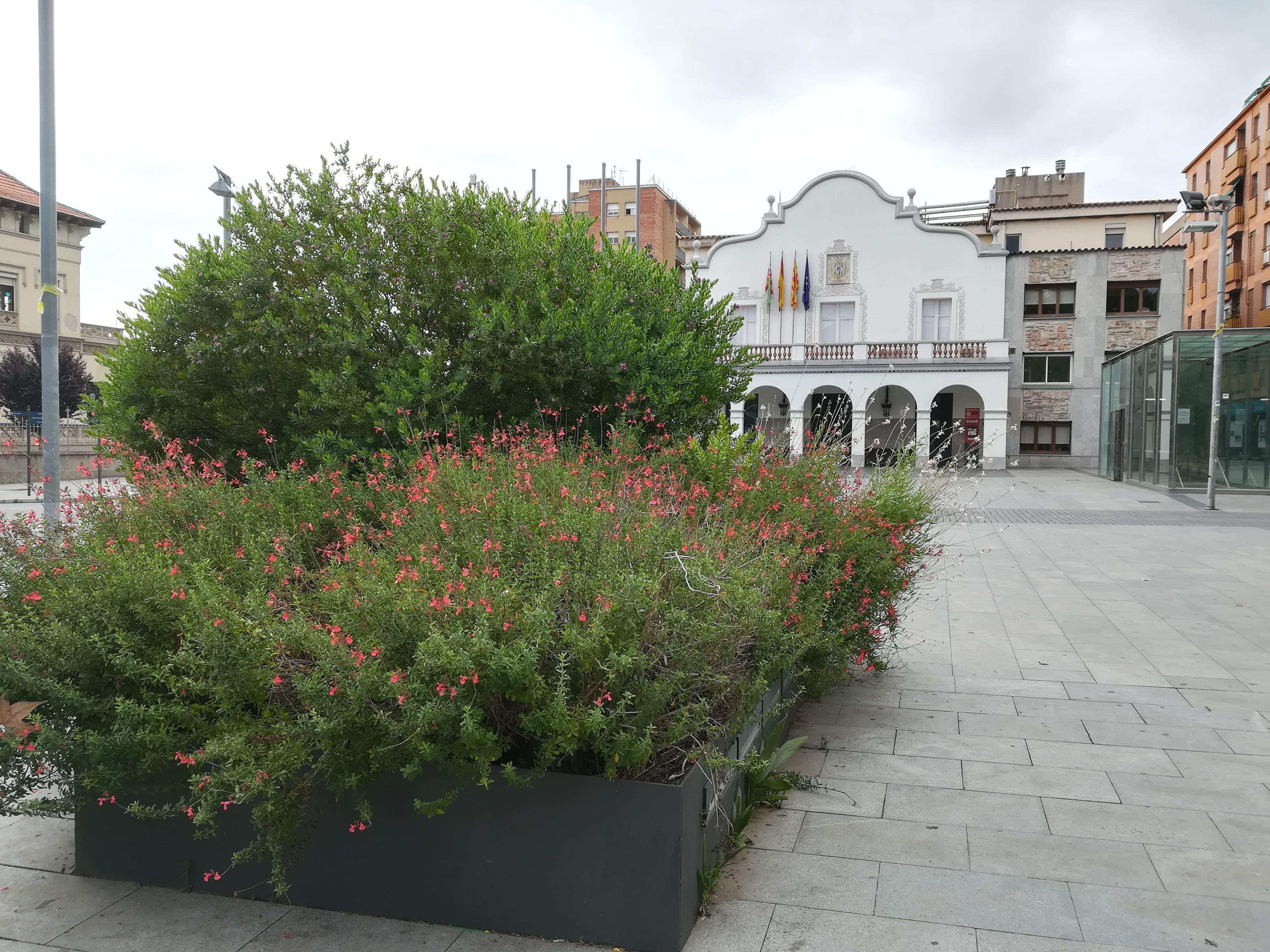 Jardinera a la plaça de l'Abat Oliba l'any 2018. FOTO: Ajuntament de Cerdanyola