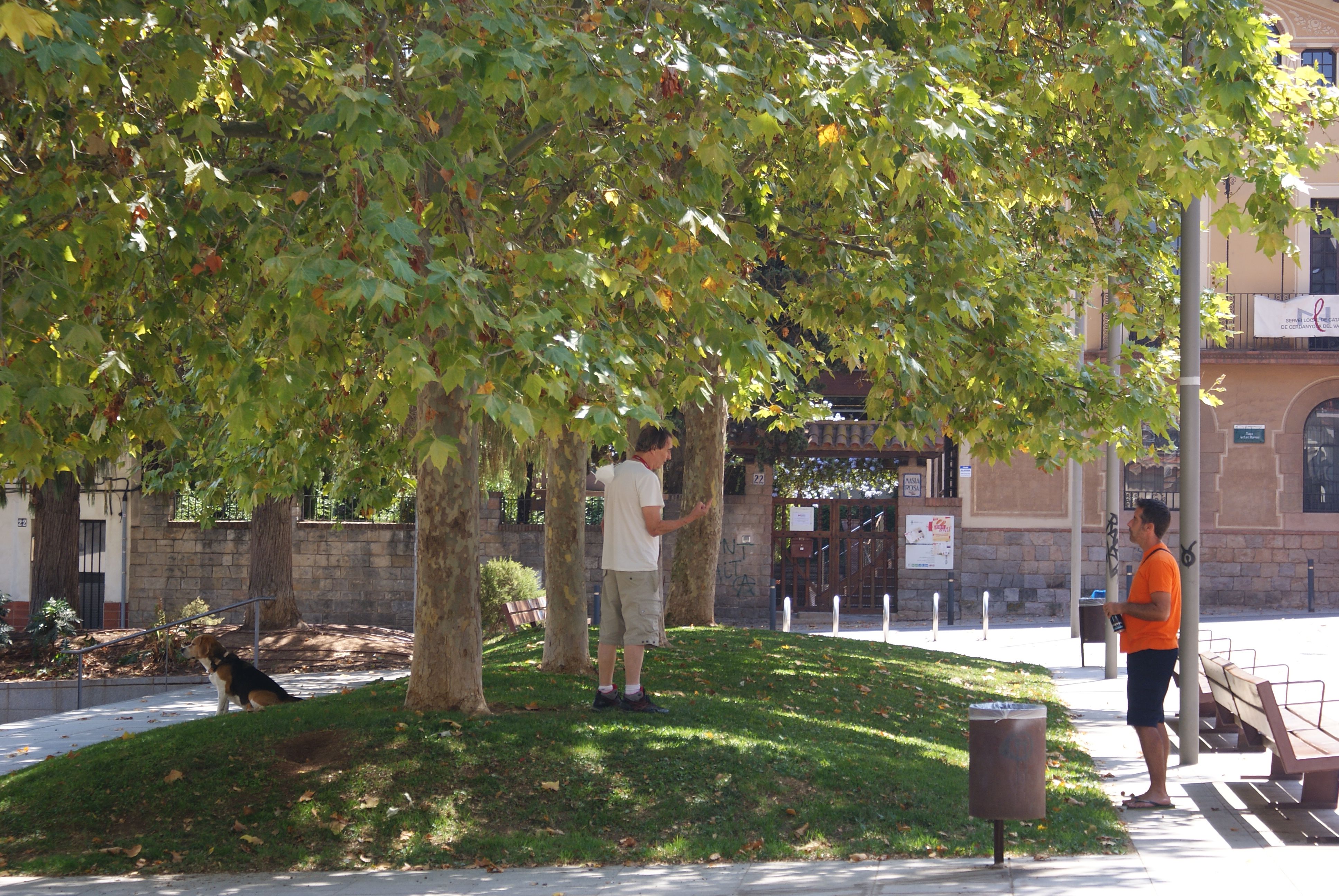 Així ha sigut l'estiu a Cerdanyola. FOTO: Toni Alfaro