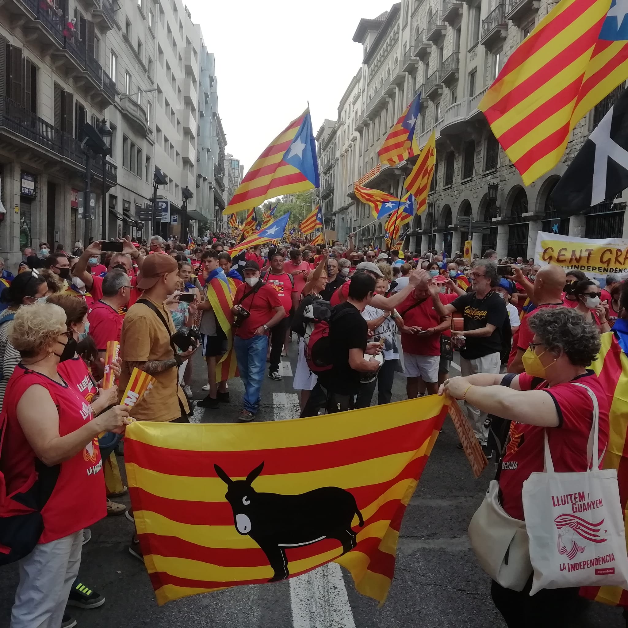 Manifestació de Barcelona a la tarda. FOTO: Cedida