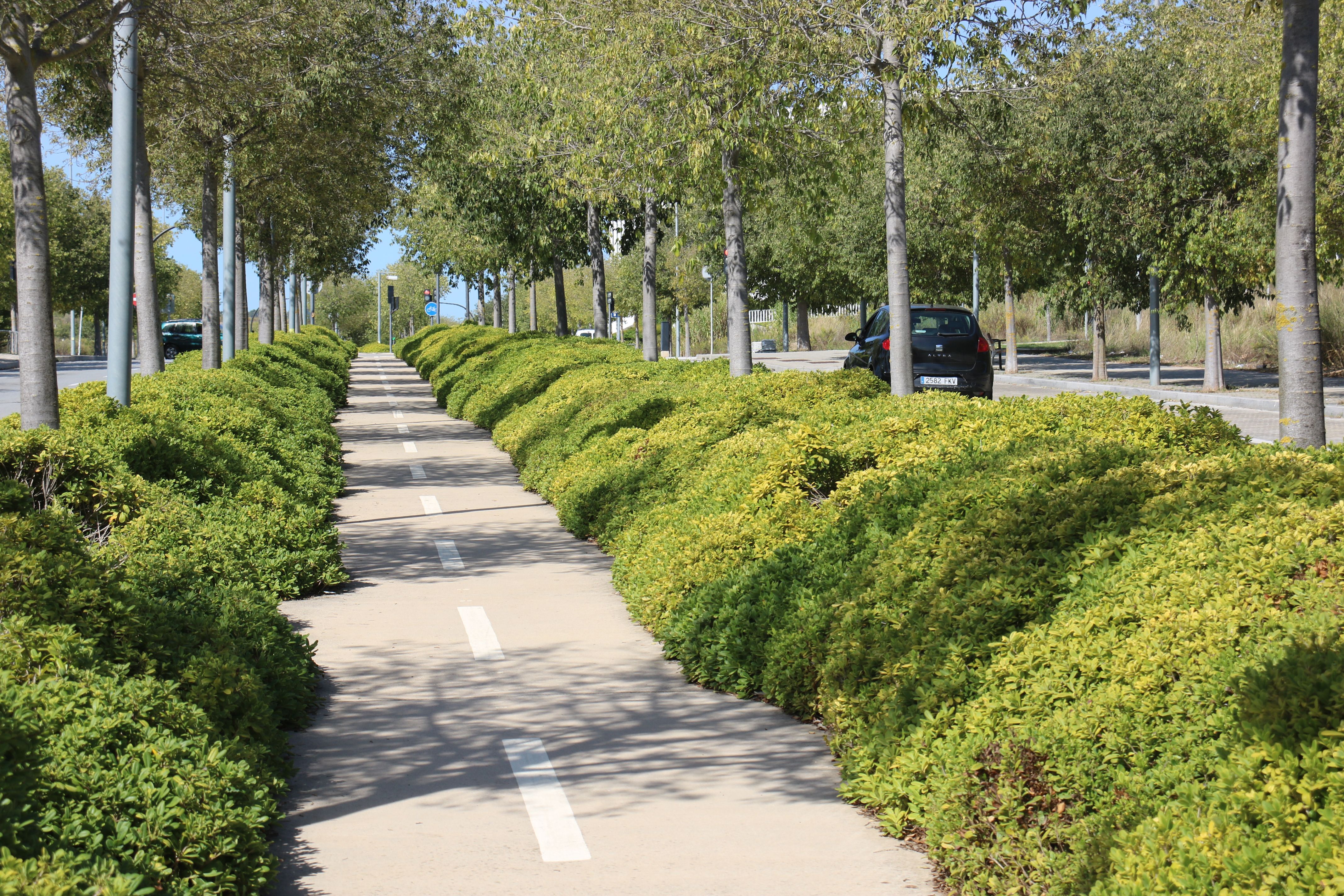 Un carril bici a la zona del Parc de l'Alba. FOTO: ACN