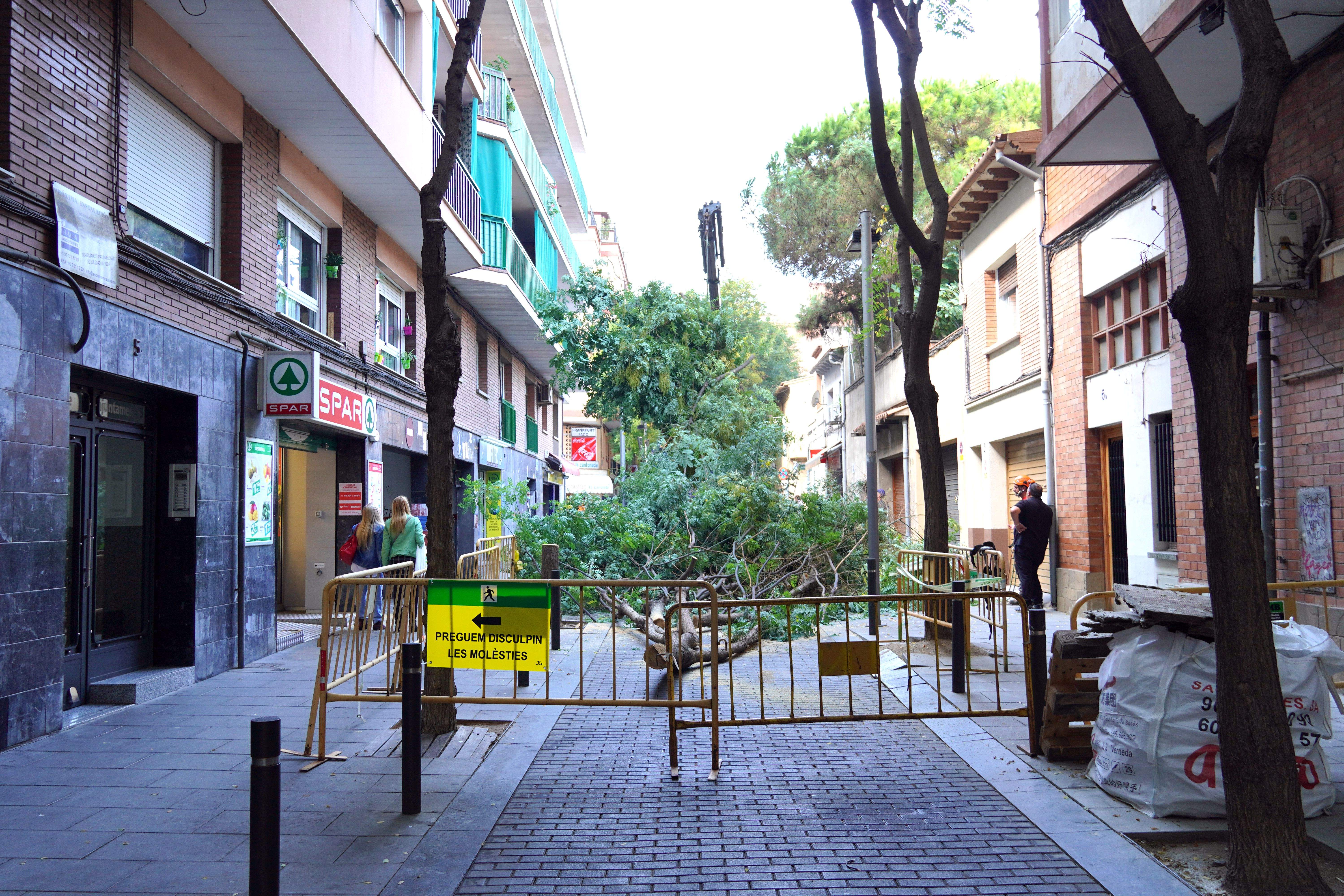 Obres al passatge de l'Ajuntament. FOTO: Ajuntament de Cerdanyola