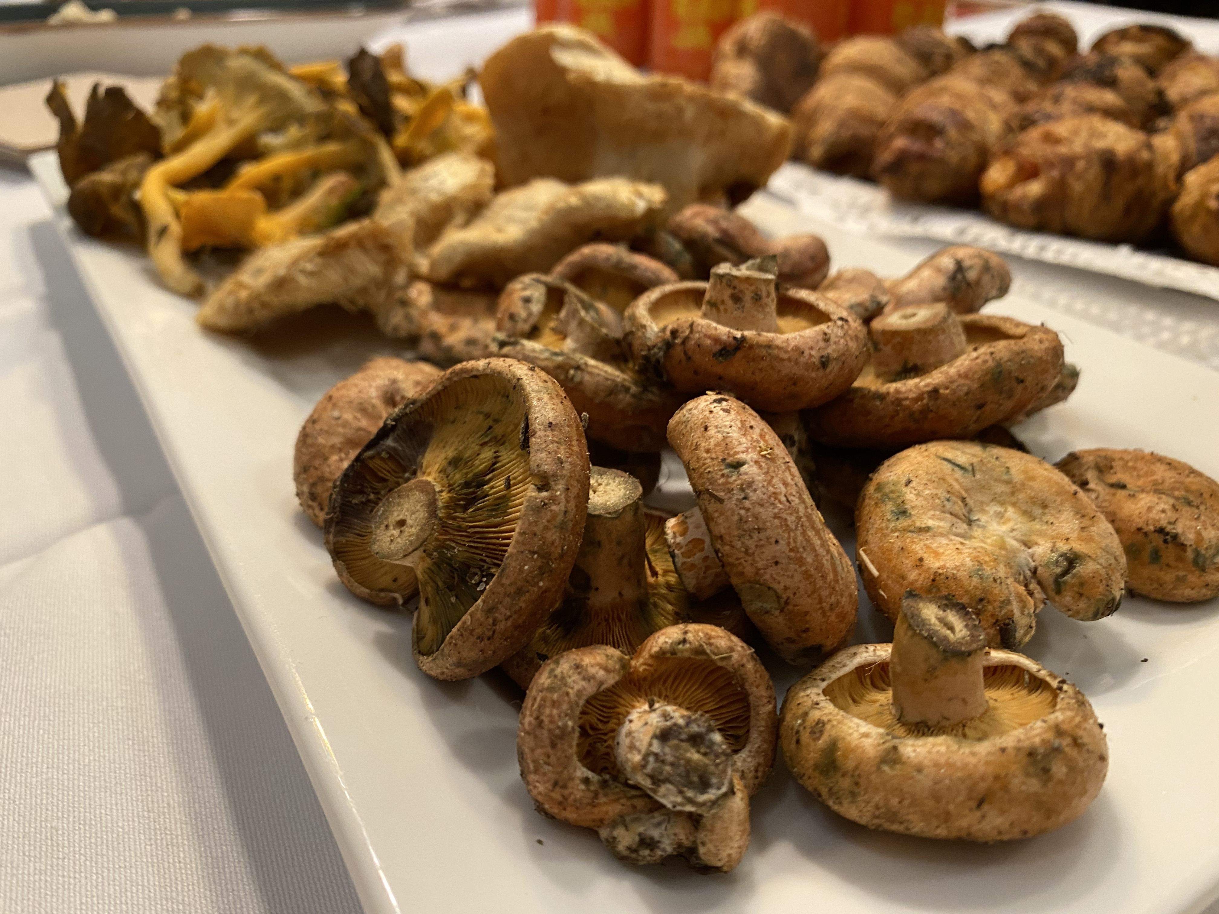 Bolets al restaurant Tocat de l'olla de Cerdanyola. FOTO: Mónica GM