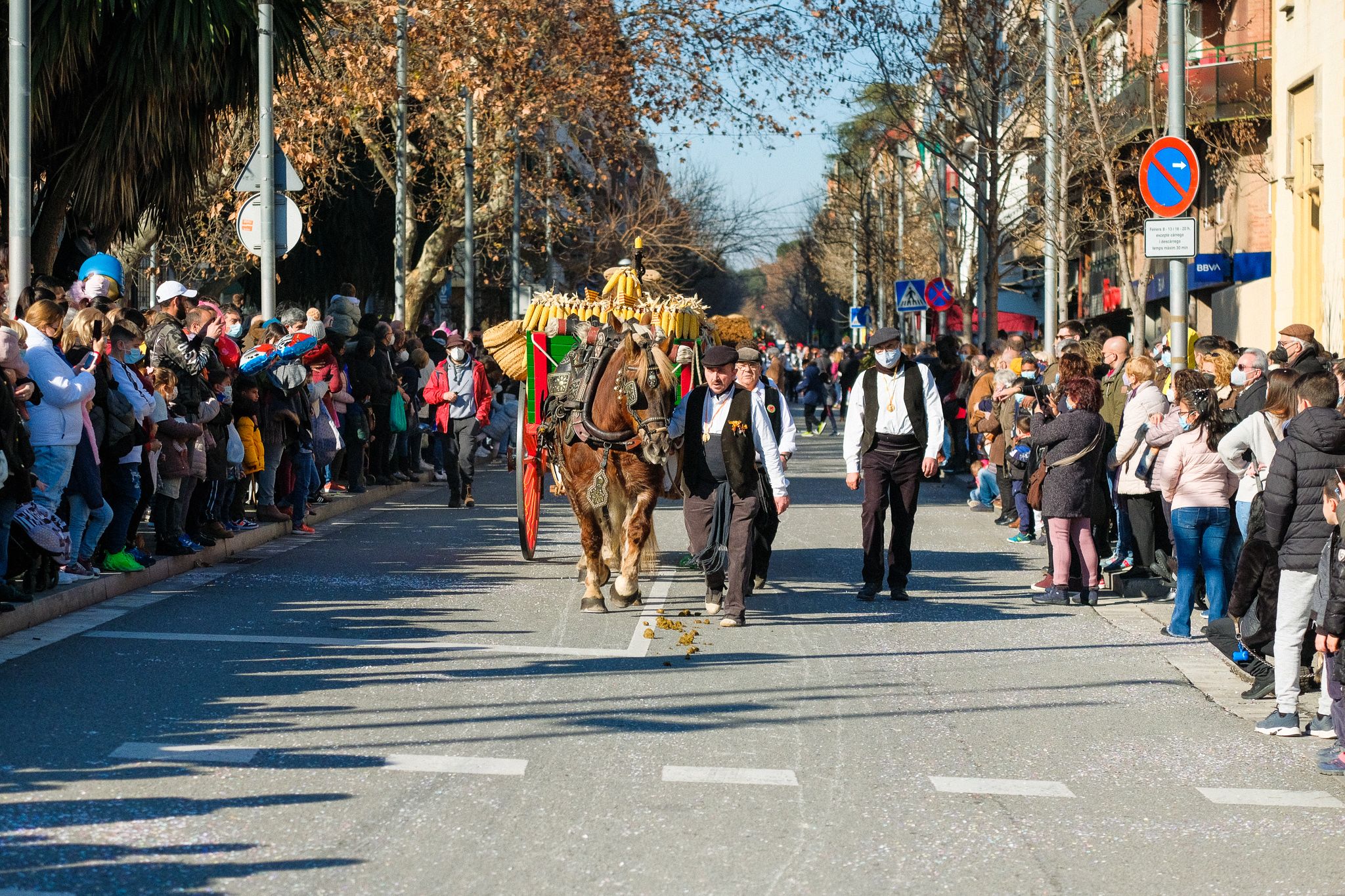 Els carros i arriers de la passada dels Tres Tombs de 2022. FOTO: Ale Gómez