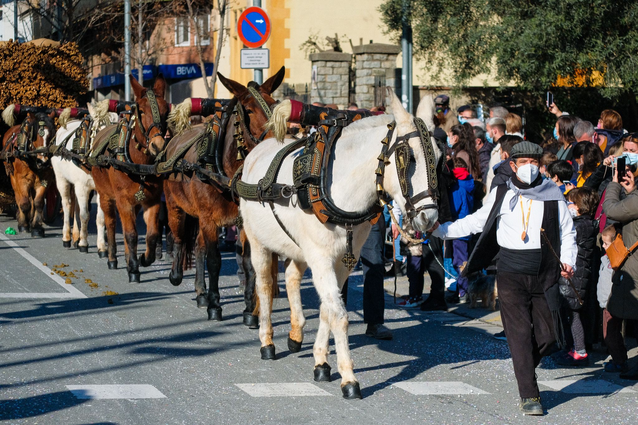 Els carros i arriers de la passada dels Tres Tombs de 2022. FOTO: Ale Gómez