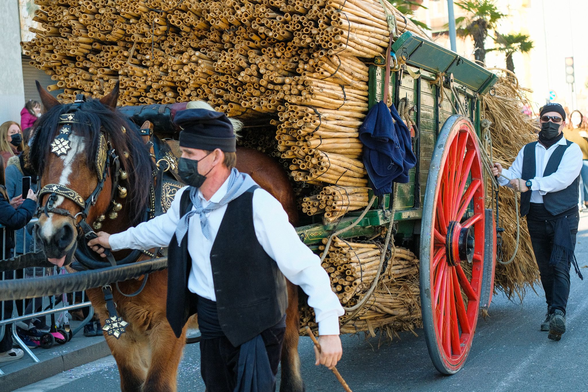 Els carros i arriers de la passada dels Tres Tombs de 2022. FOTO: Ale Gómez