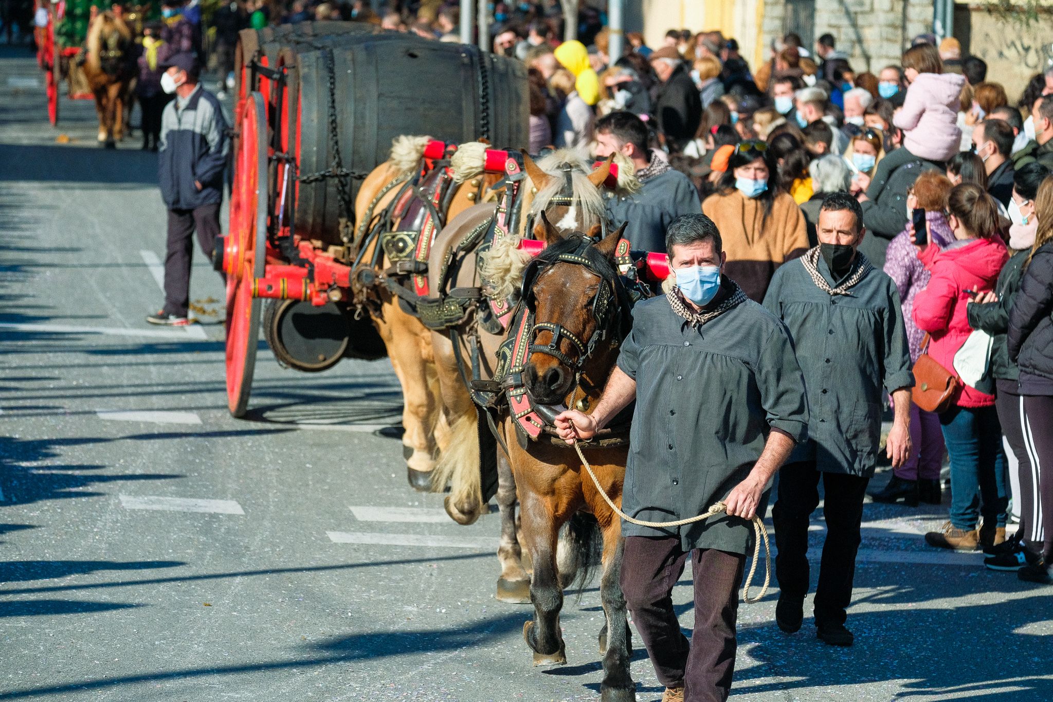 Els carros i arriers de la passada dels Tres Tombs de 2022. FOTO: Ale Gómez