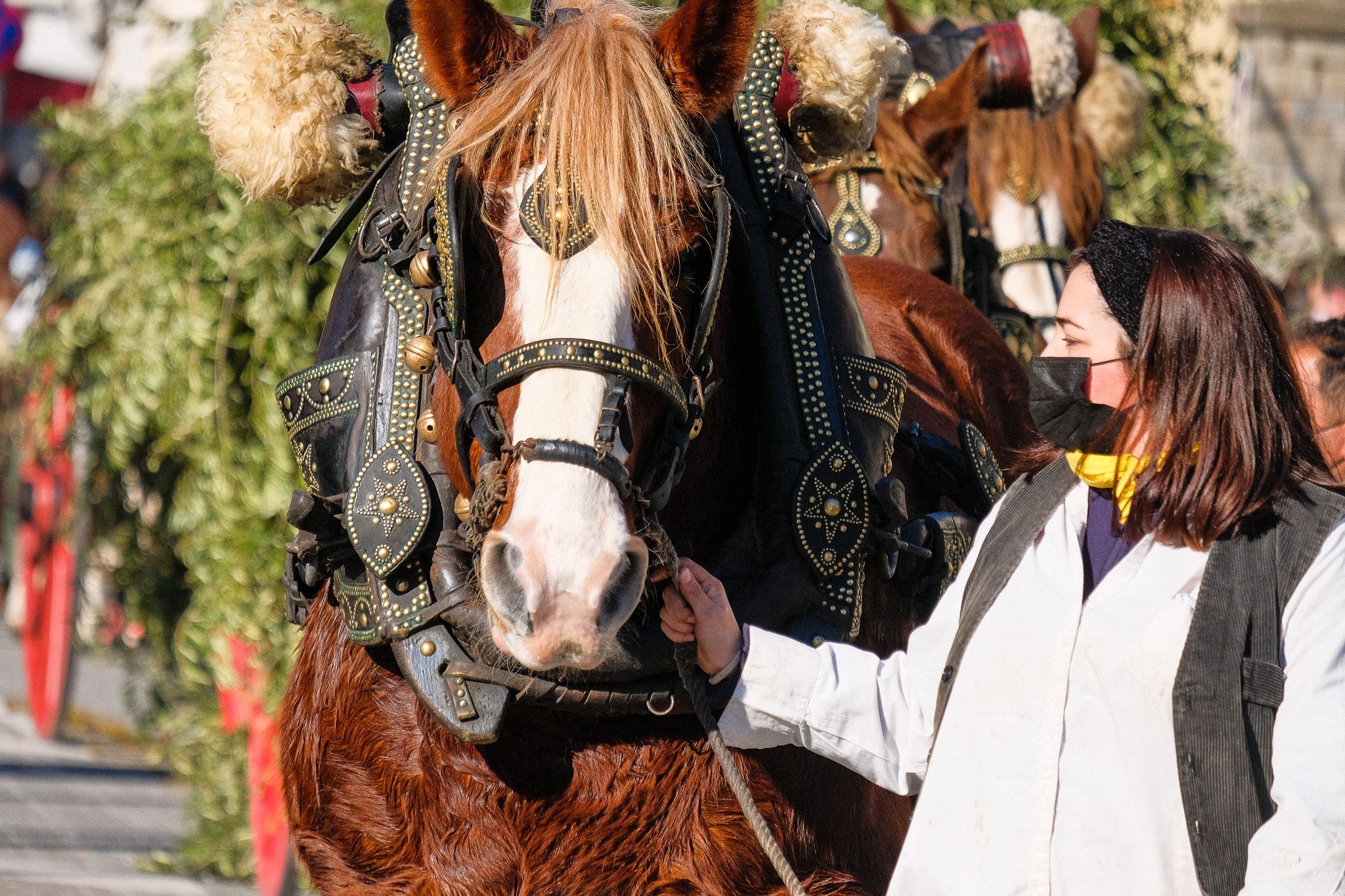 Els cavallas de la passada dels Tres Tombs de 2022. FOTO: Ale Gómez