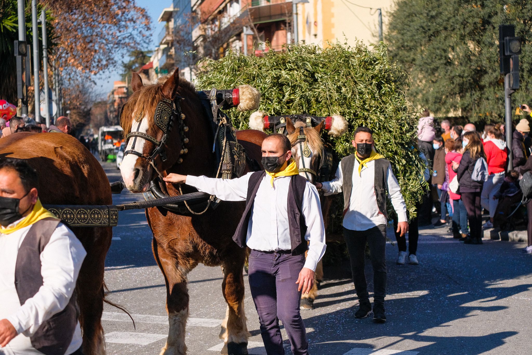 Els cavallas de la passada dels Tres Tombs de 2022. FOTO: Ale Gómez