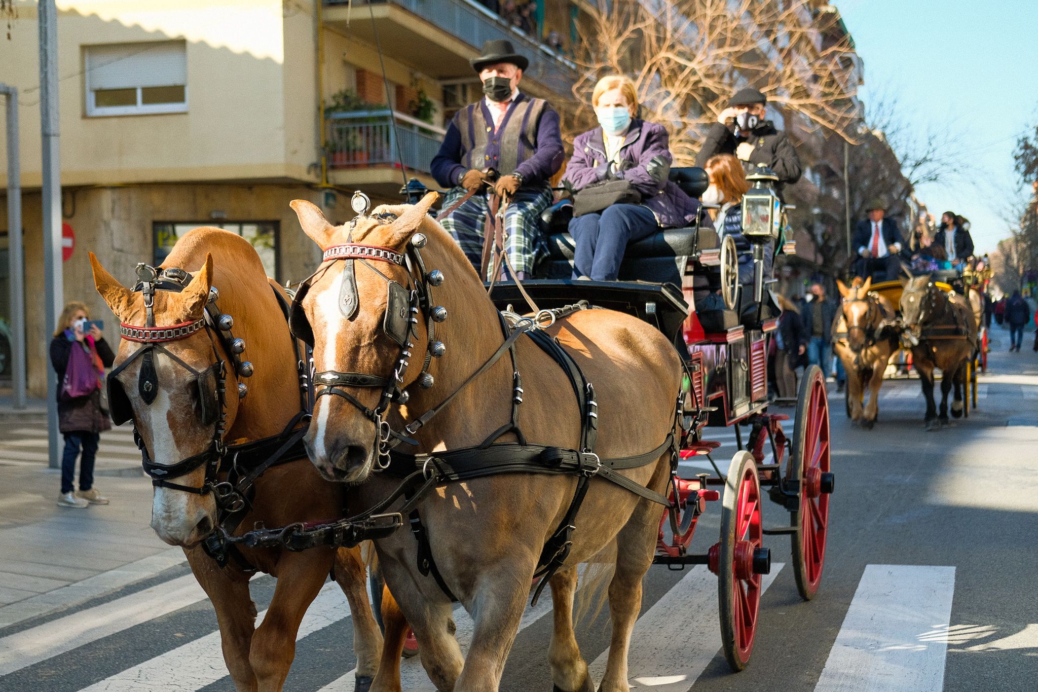 Els carros i arriers de la passada dels Tres Tombs de 2022. FOTO: Ale Gómez