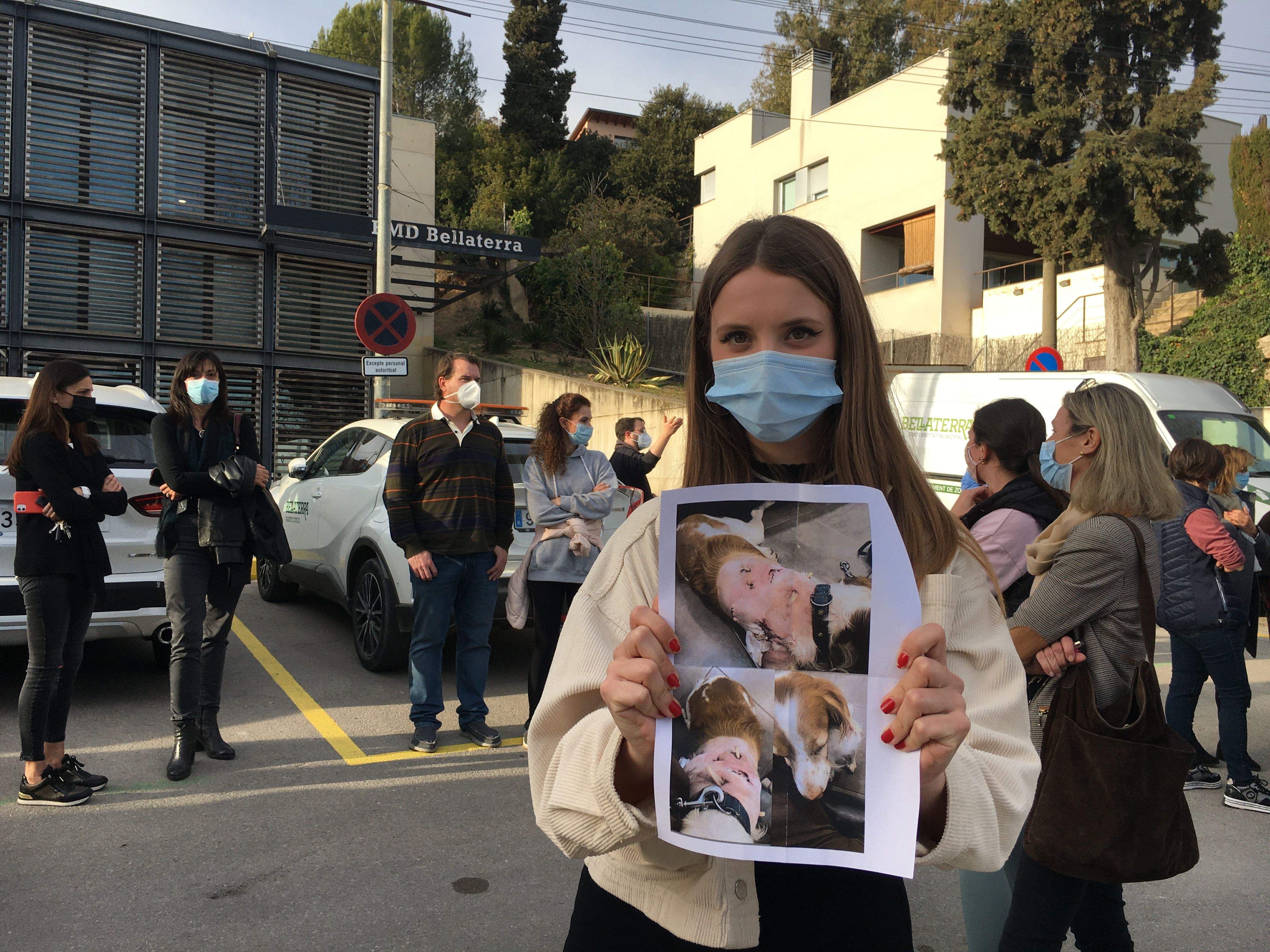 Una bellaterrenca ensenya les ferides que els gossos de raça PPP van causar-li fa pocs dies també al seu animal de companyia. FOTO: Laia TR