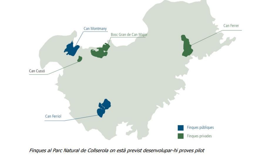 Actuacions forestals pel canvi climàtic a Collserola. FOTO: Cedida