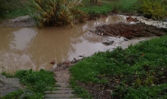 Fotodenúncia sobre l'estat de les passeres de la Riera de Sant Cugat. FOTO: C.P.M.