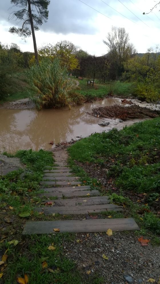 Fotodenúncia sobre l'estat de les passeres de la Riera de Sant Cugat. FOTO: C.P.M.