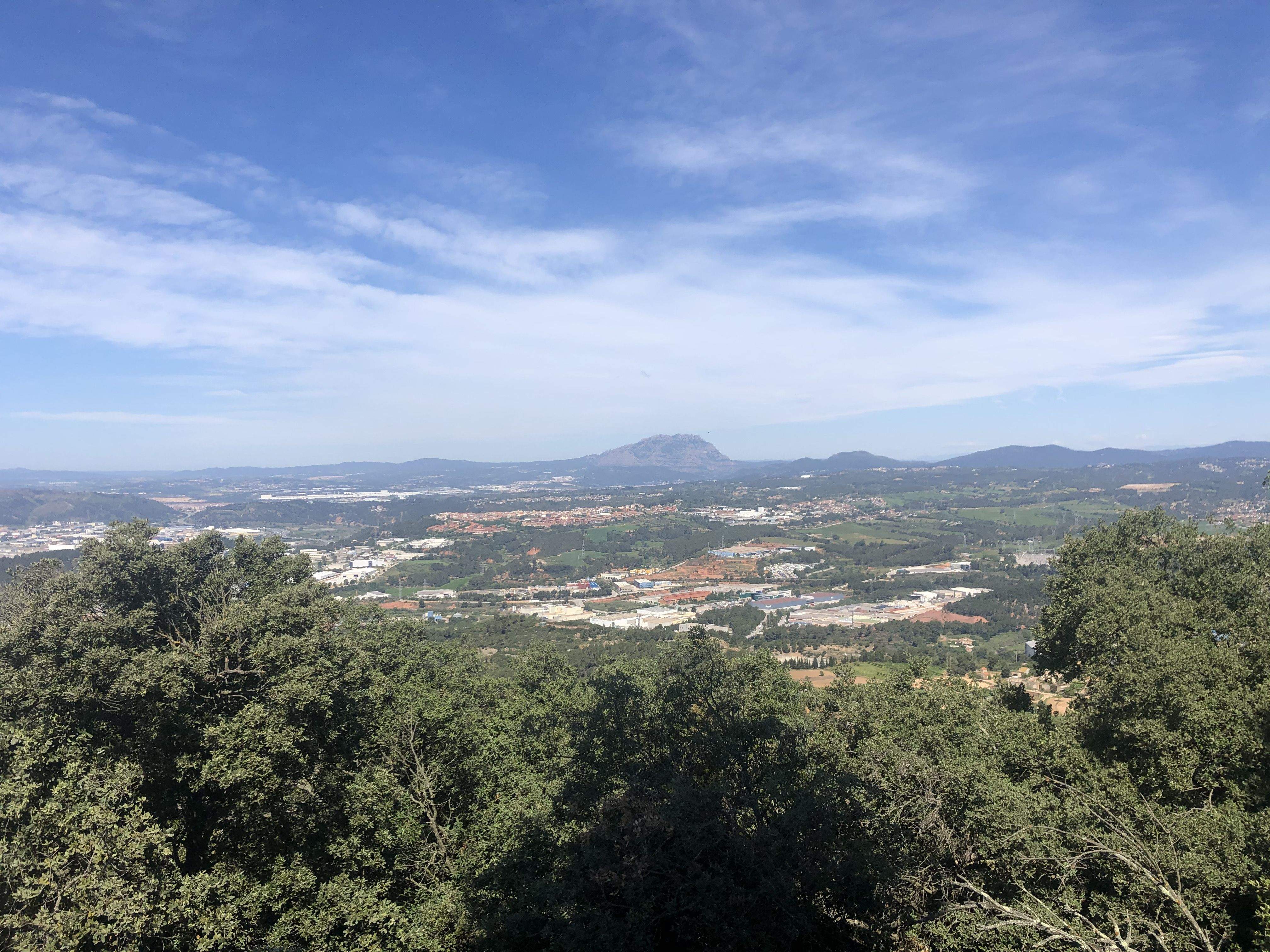 Zona forestal del Puigmadrona a Collserola. FOTO: AMB