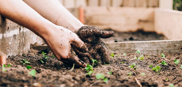 La primera oferta formativa està centrada en l'àmbit del medi ambient. FOTO: Residus.gencat