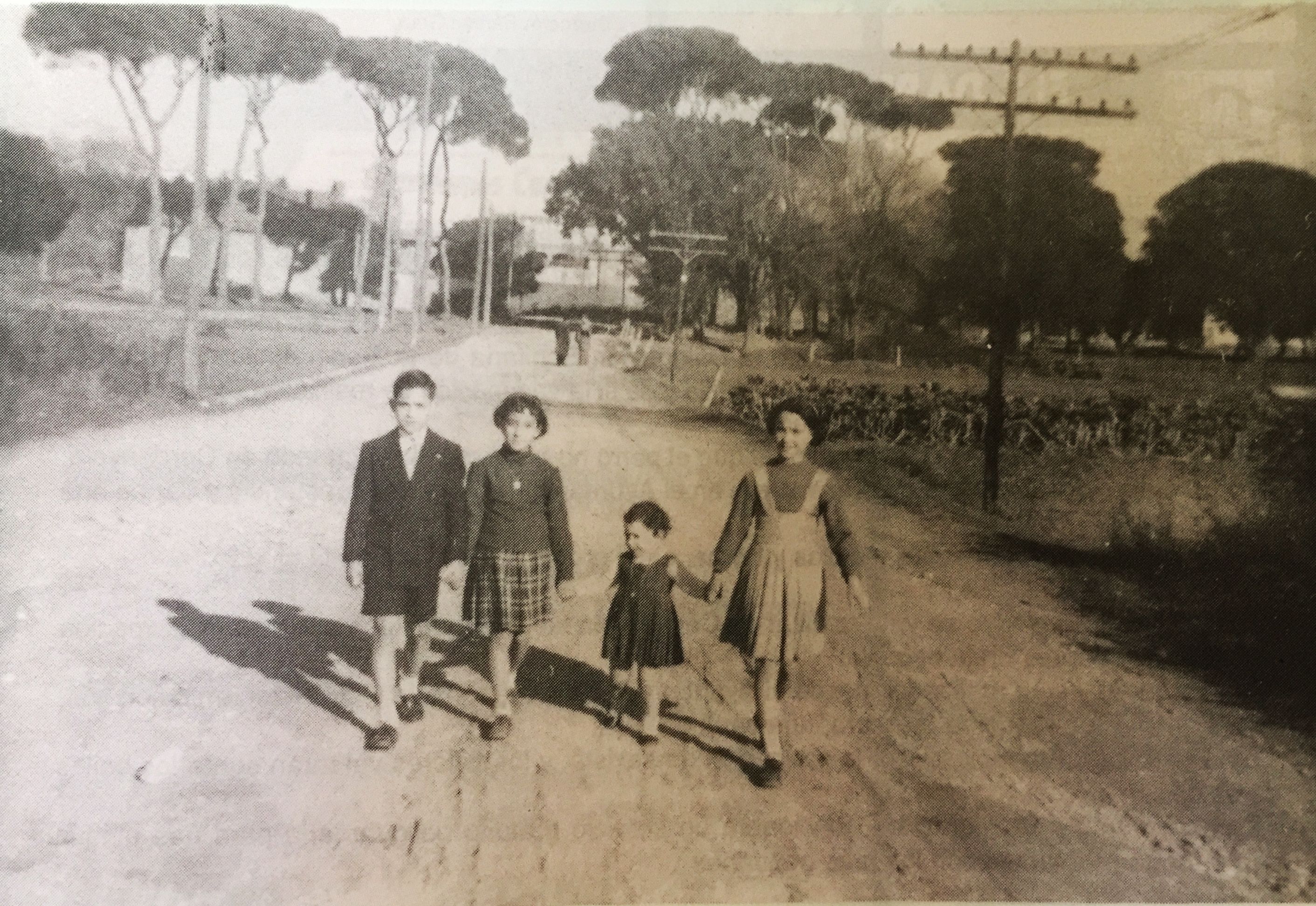 L’Avinguda Primavera.  TOT Cerdanyola, 120 - Cedida per Rosa Renom