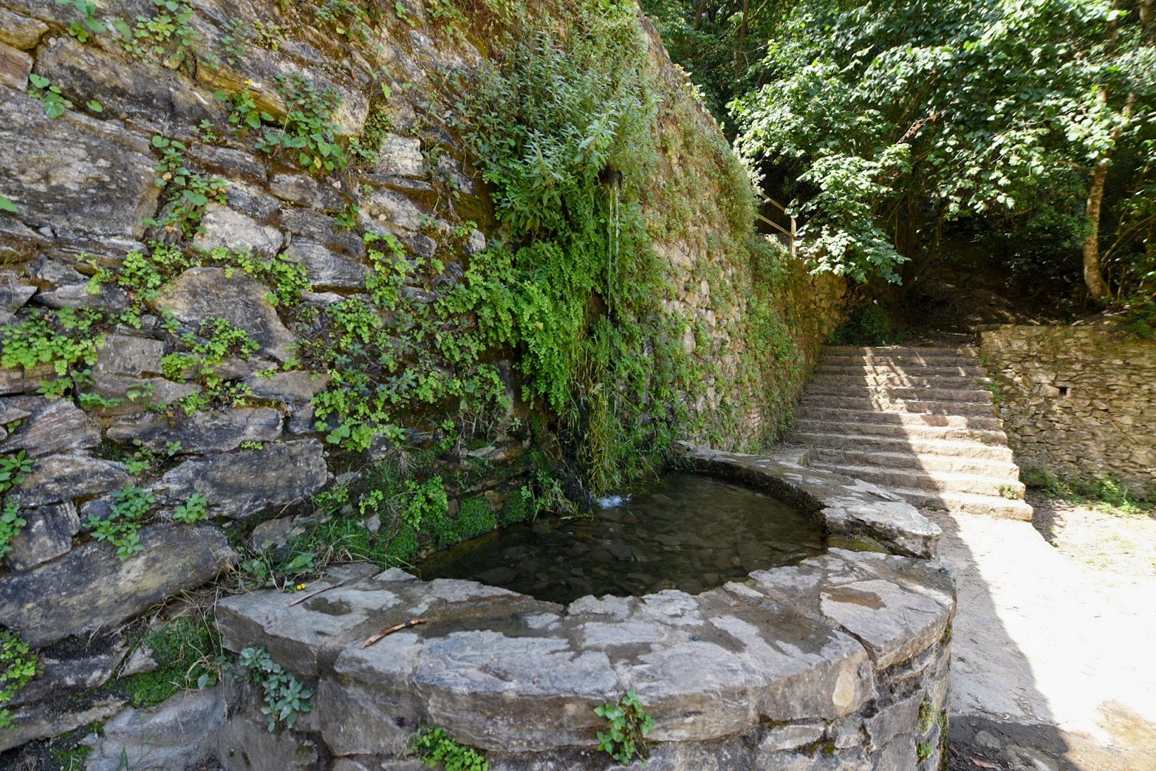 Una font a Collserola. FOTO: Albert Canalejo (AMB)