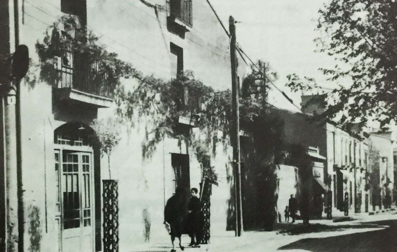 Avinguda Creu Roja