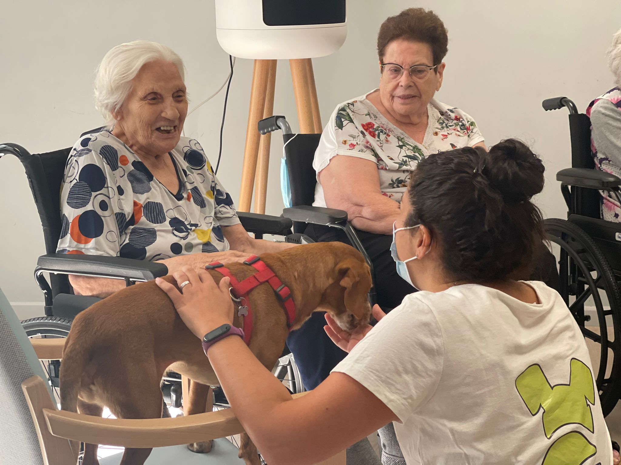 CleceVitam Ceritania en una teràpia amb gossos. FOTO: Cedida