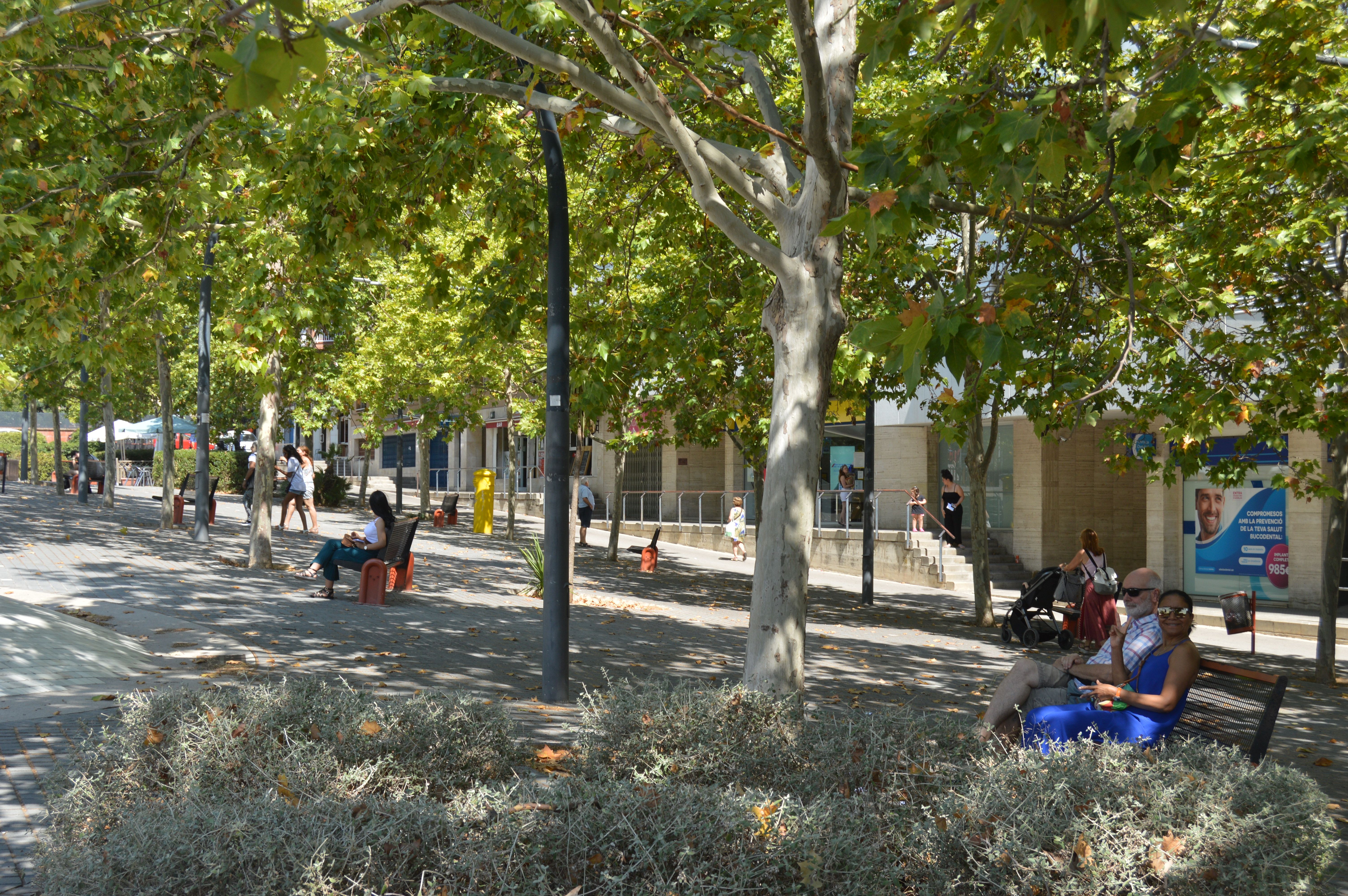 Aquest estiu molts veïns opten per buscar l'ombra en un banc o en una terrassa. FOTO: Nora Muñoz Otero