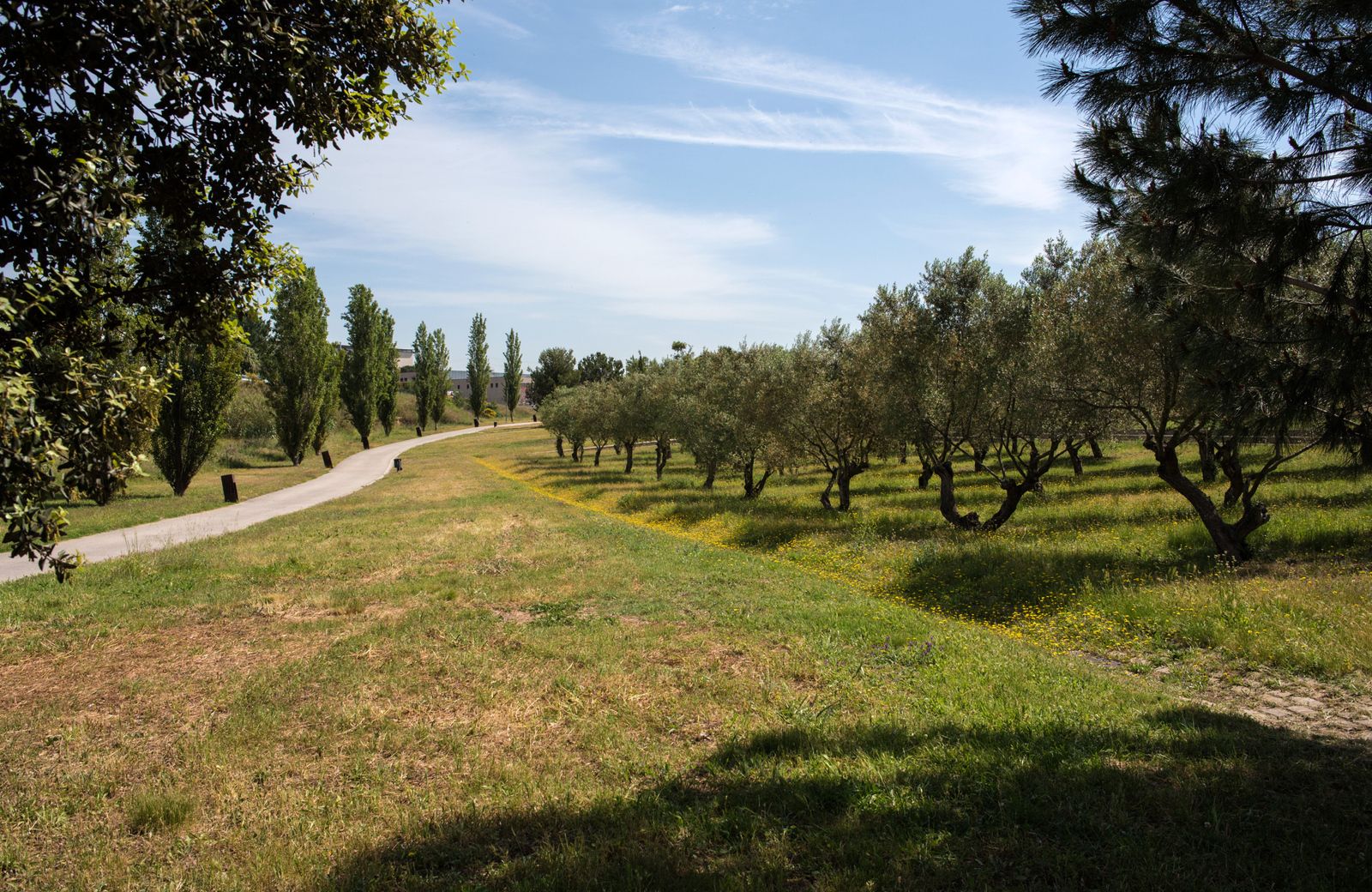 Parc dels Pinetons de Ripollet. FOTO: Josep Cano / AMB