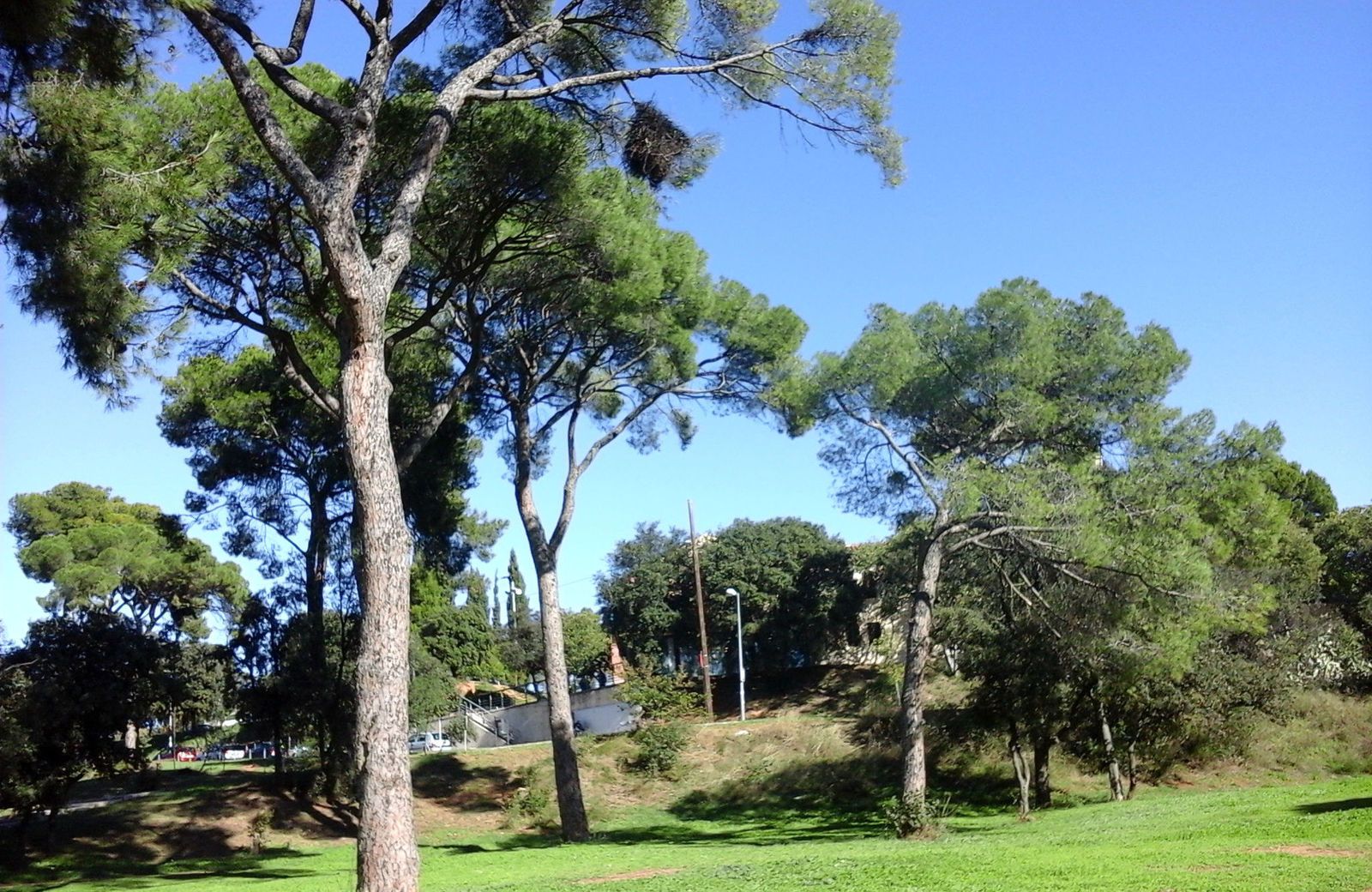 Parc del Bosc de Can Gorgs, Barberà. FOTO: AMB Parc del Bosc de Can Gorgs, Barberà. FOTO: AMB