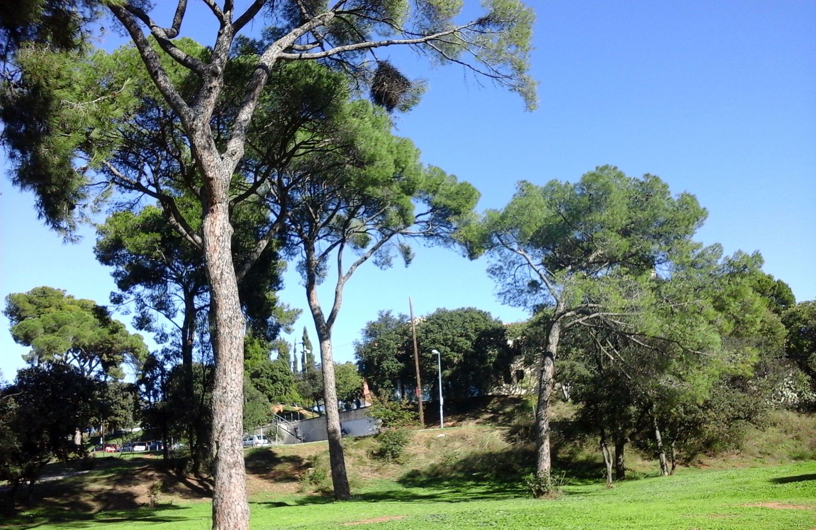 Parc del Bosc de Can Gorgs, Barberà. FOTO: AMB