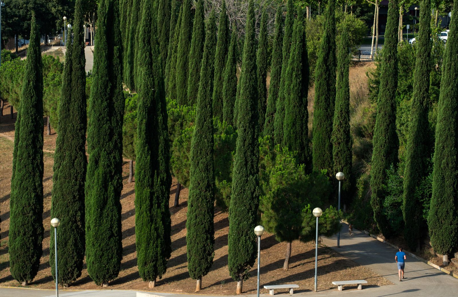 Parc del Torrent de la Font i del Turó de l'Enric, Badalona. FOTO: AMB