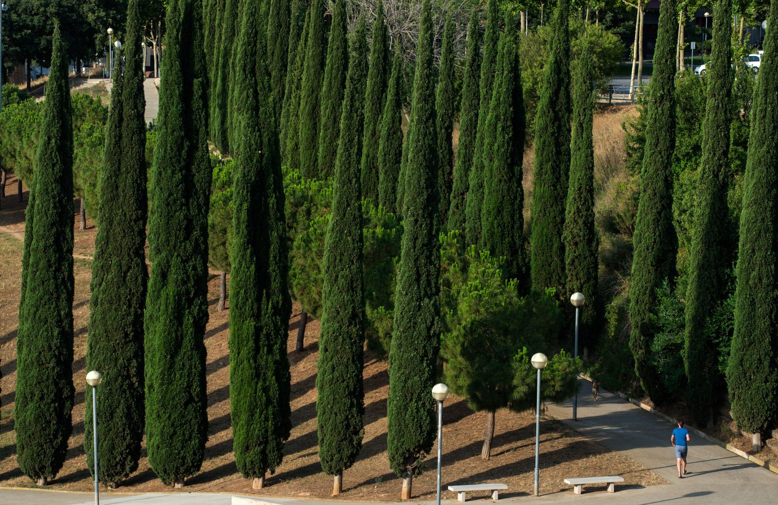 Parc del Torrent de la Font i del Turó de l'Enric, Badalona. FOTO: AMB Parc del Torrent de la Font i del Turó de l'Enric, Badalona. FOTO: AMB