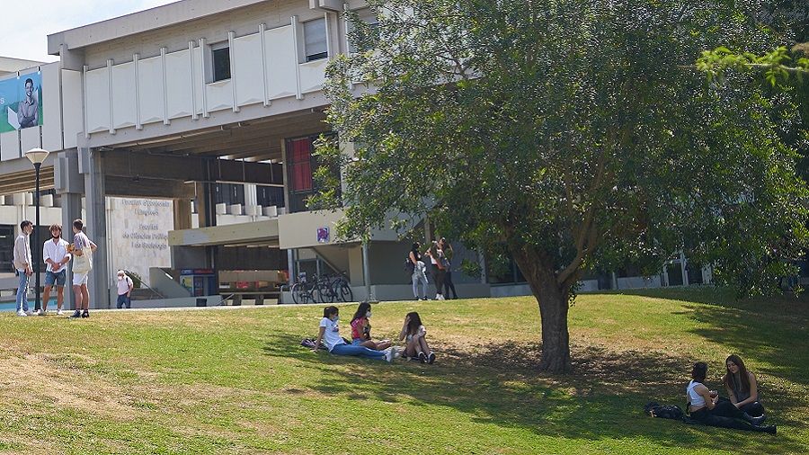 Campus de la UAB a Bellaterra. FOTO: UAB