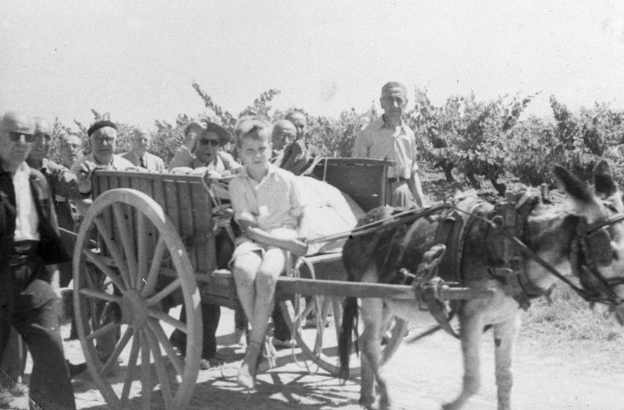 Una família sobre un carretó davant d'un camp de vinyes. FOTO: Arxiu Escursell