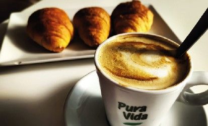 cafeto cerdanyola cafeto cerdanyola