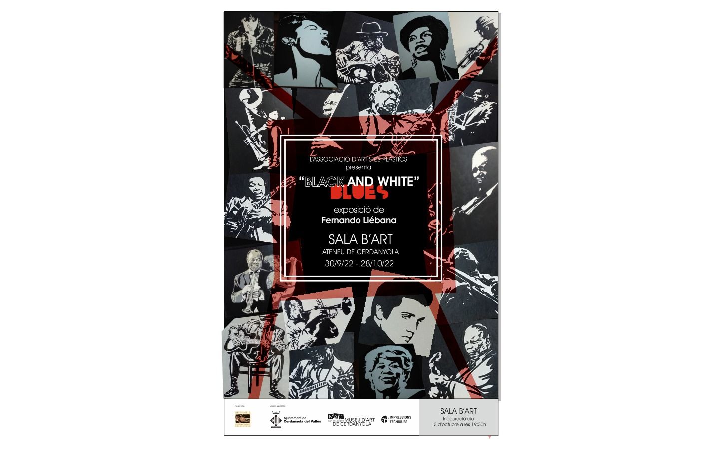 Cartell de l'exposició 'Black and White Blues'. Cartell de l'exposició 'Black and White Blues'.