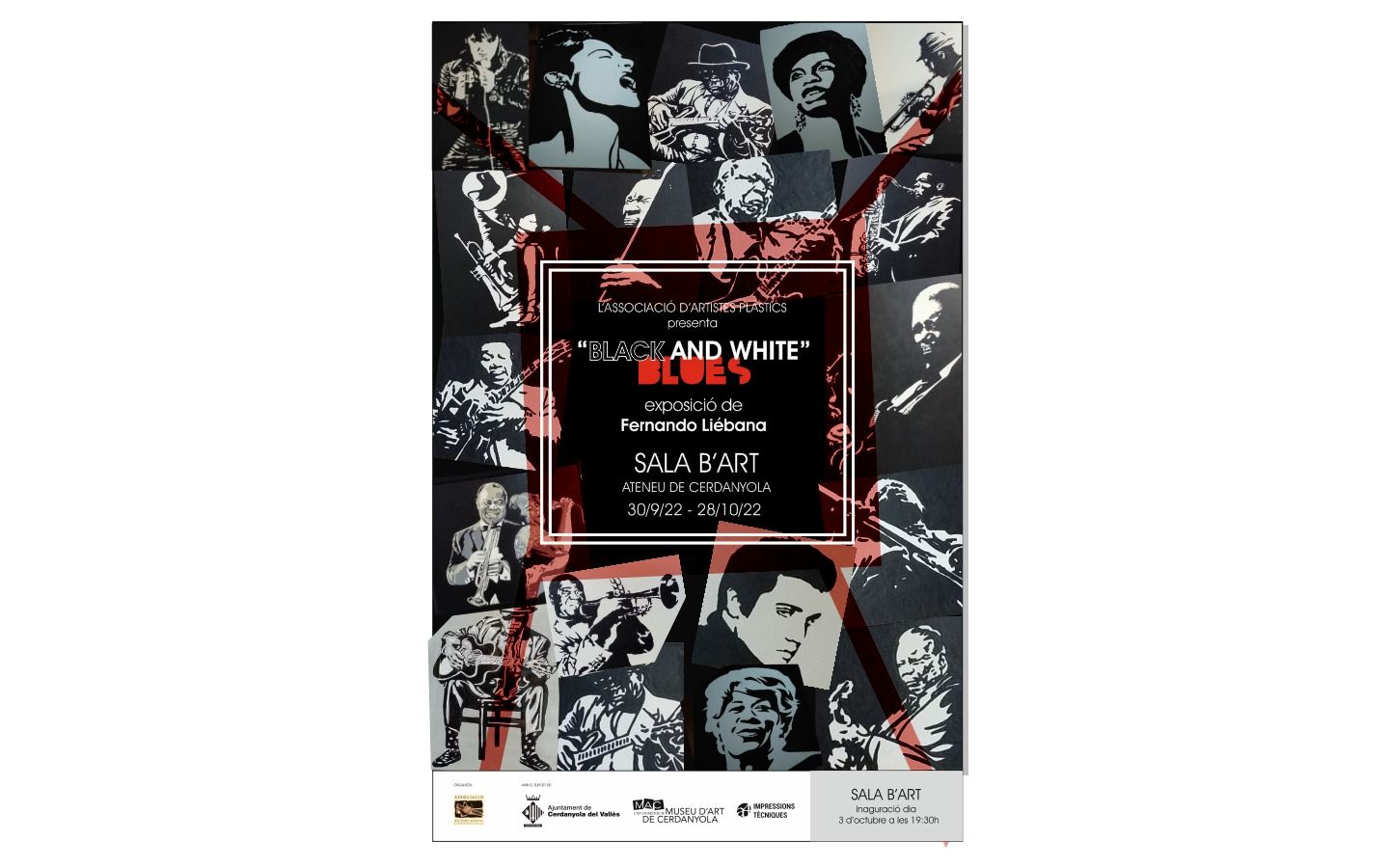 Cartell de l'exposició 'Black and White Blues'.