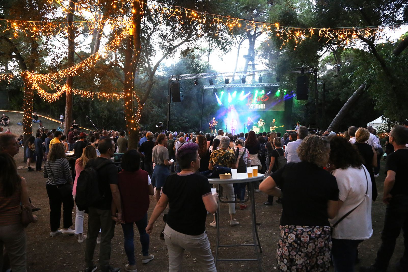 Concert de The Chris O'Leary Band a l'escenari Bosc del Bosc Tancat. FOTO: Anna Bassa