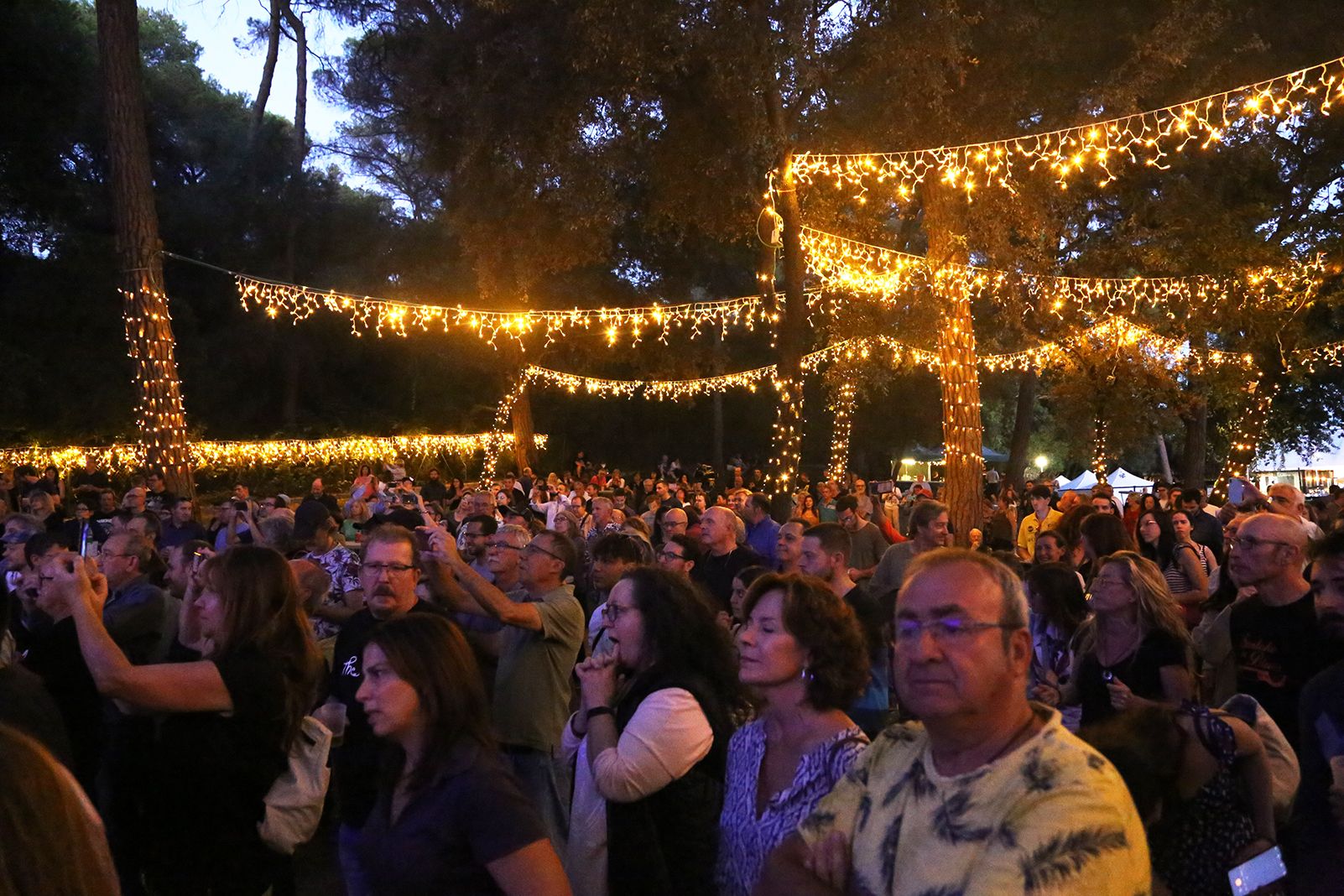 Concert de The Chris O'Leary Band a l'escenari Bosc del Bosc Tancat. FOTO: Anna Bassa