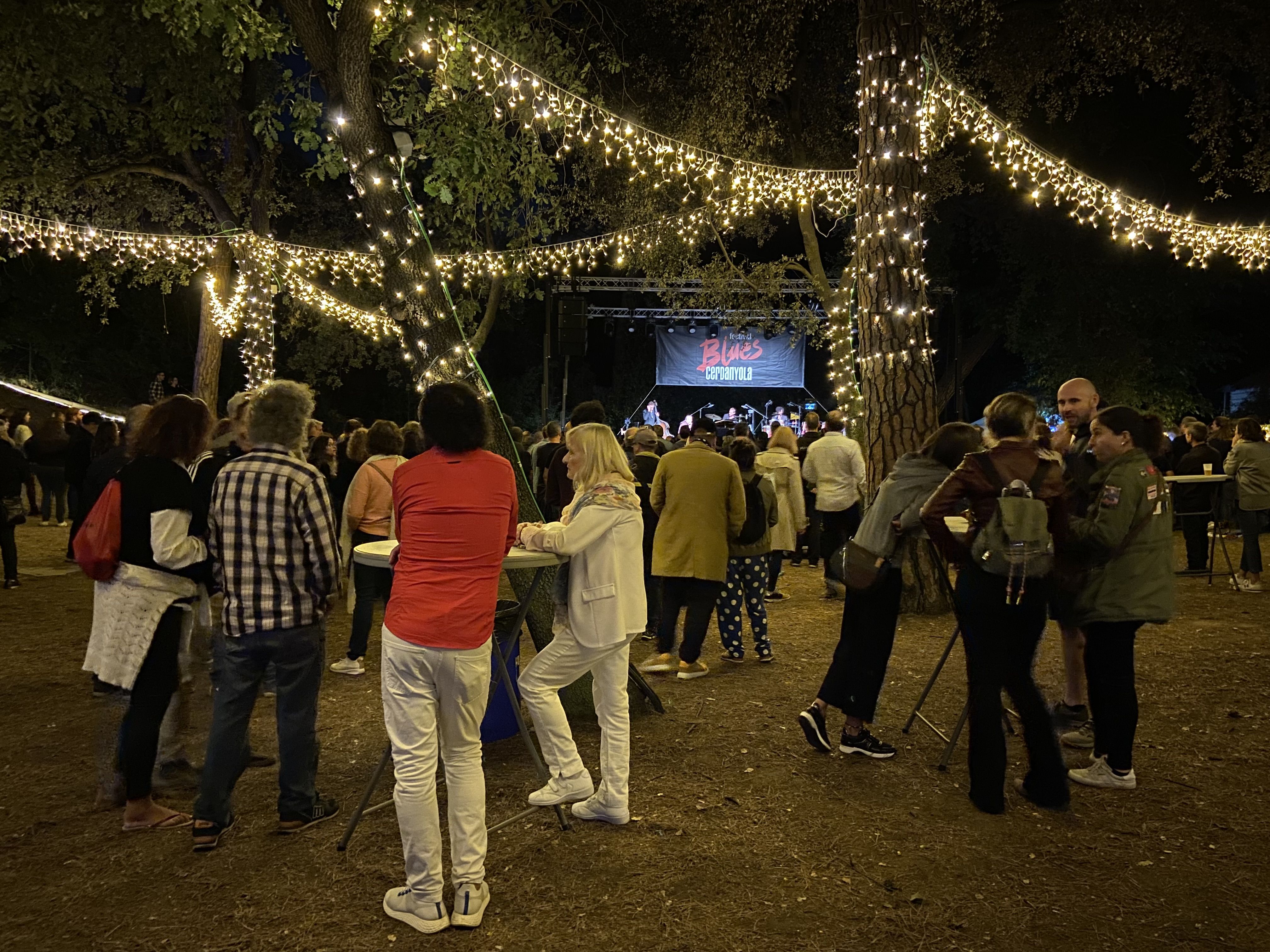 El Bosc Tancat il·luminat l'última nit de Festival de Blues. FOTO: Nora MO