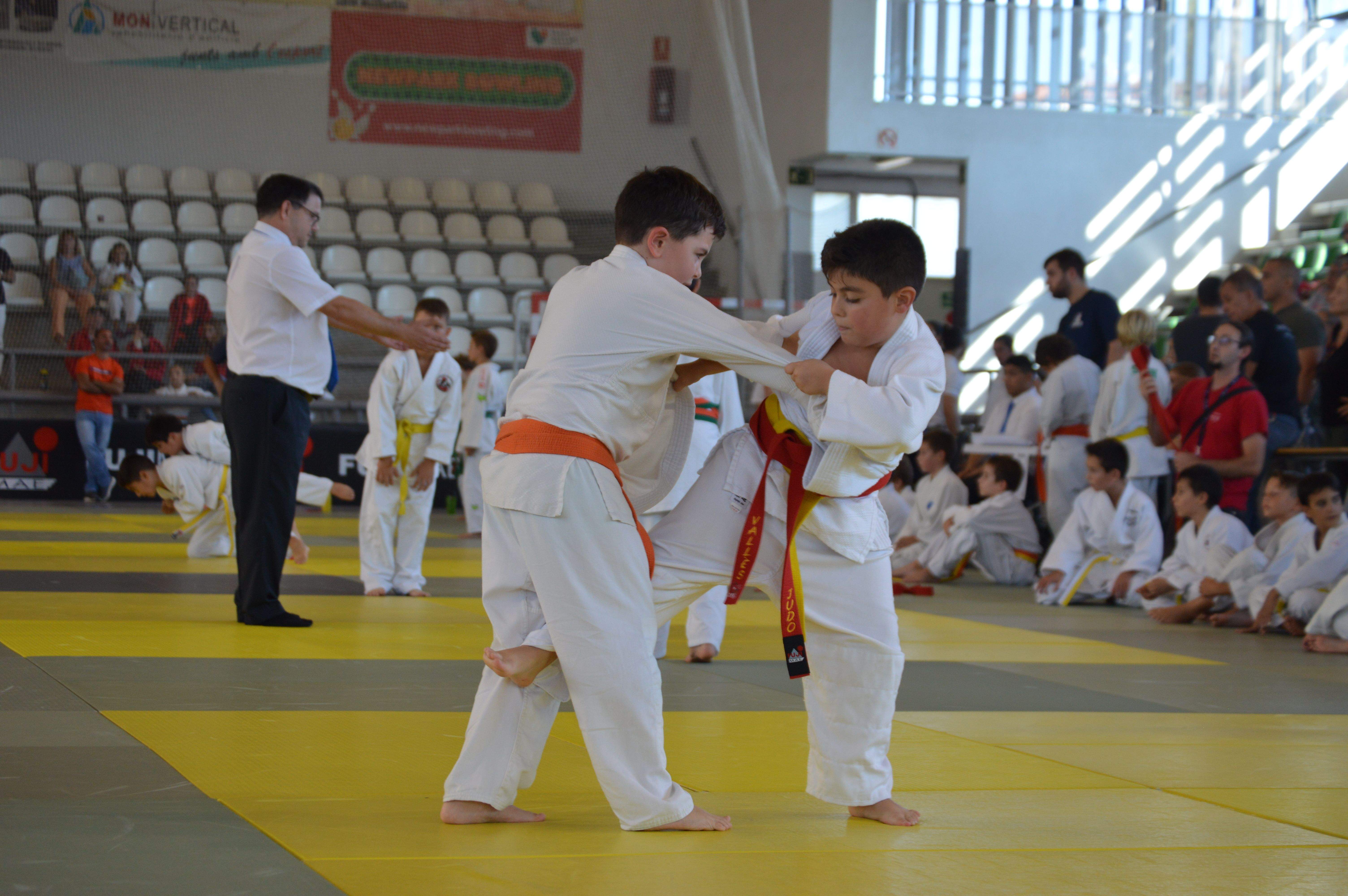 El Cerdanyola Club Judo Vallès ha organitzat el Campionat de Catalunya de Judo Benjamí-Aleví. FOTO: Nora MO