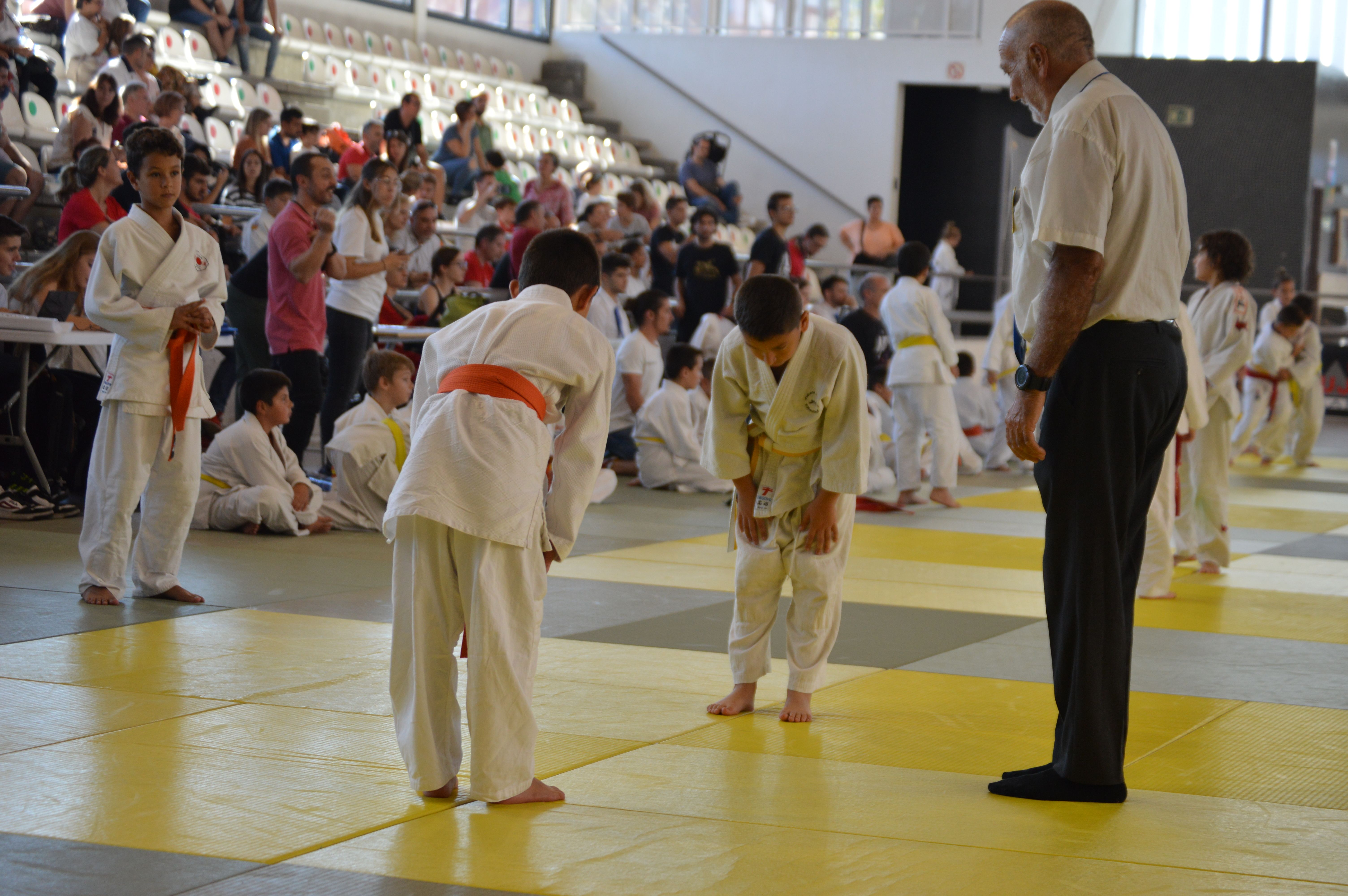 El Cerdanyola Club Judo Vallès ha organitzat el Campionat de Catalunya de Judo Benjamí-Aleví. FOTO: Nora MO