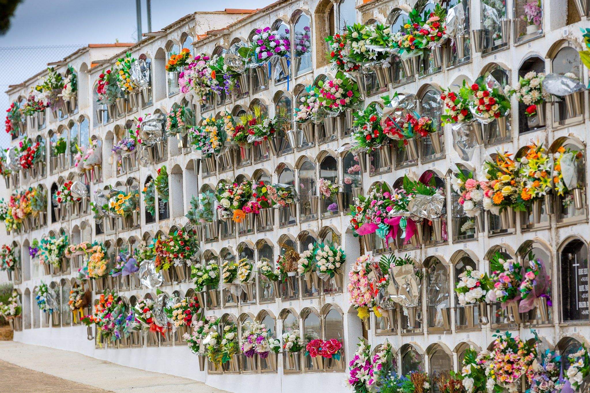 EL Cementiri Municipal de Cerdanyola del Vallès, ple de flors per Tots Sants. FOTO: Núria Puentes (Ajuntament de Cerdanyola) EL Cementiri Municipal de Cerdanyola del Vallès, ple de flors per Tots Sants. FOTO: Núria Puentes (Ajuntament de Cerdanyola)